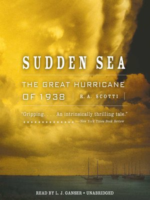cover image of Sudden Sea
